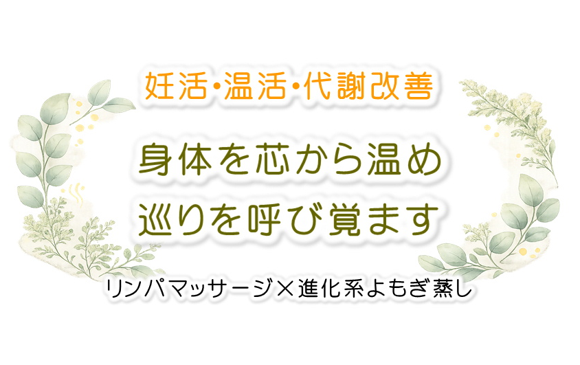 楕円コンセプト
